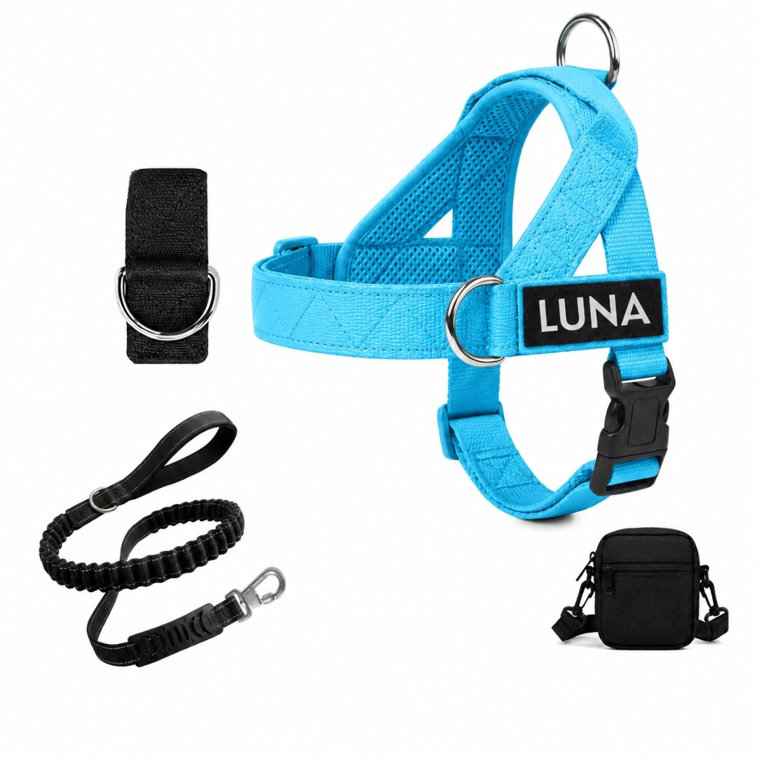 Dog Harness + FREE D-Ring