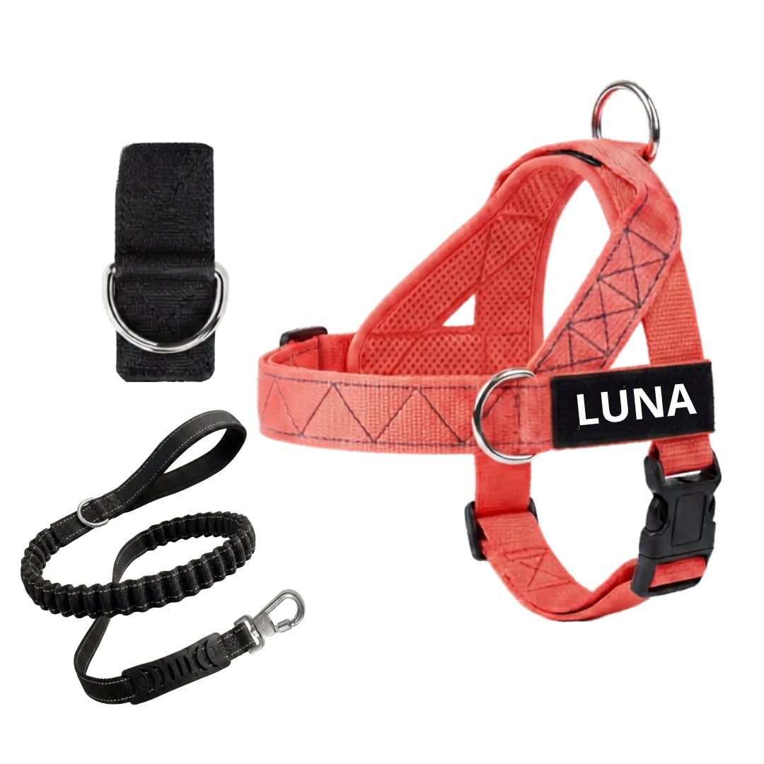 Dog Harness + FREE D-Ring