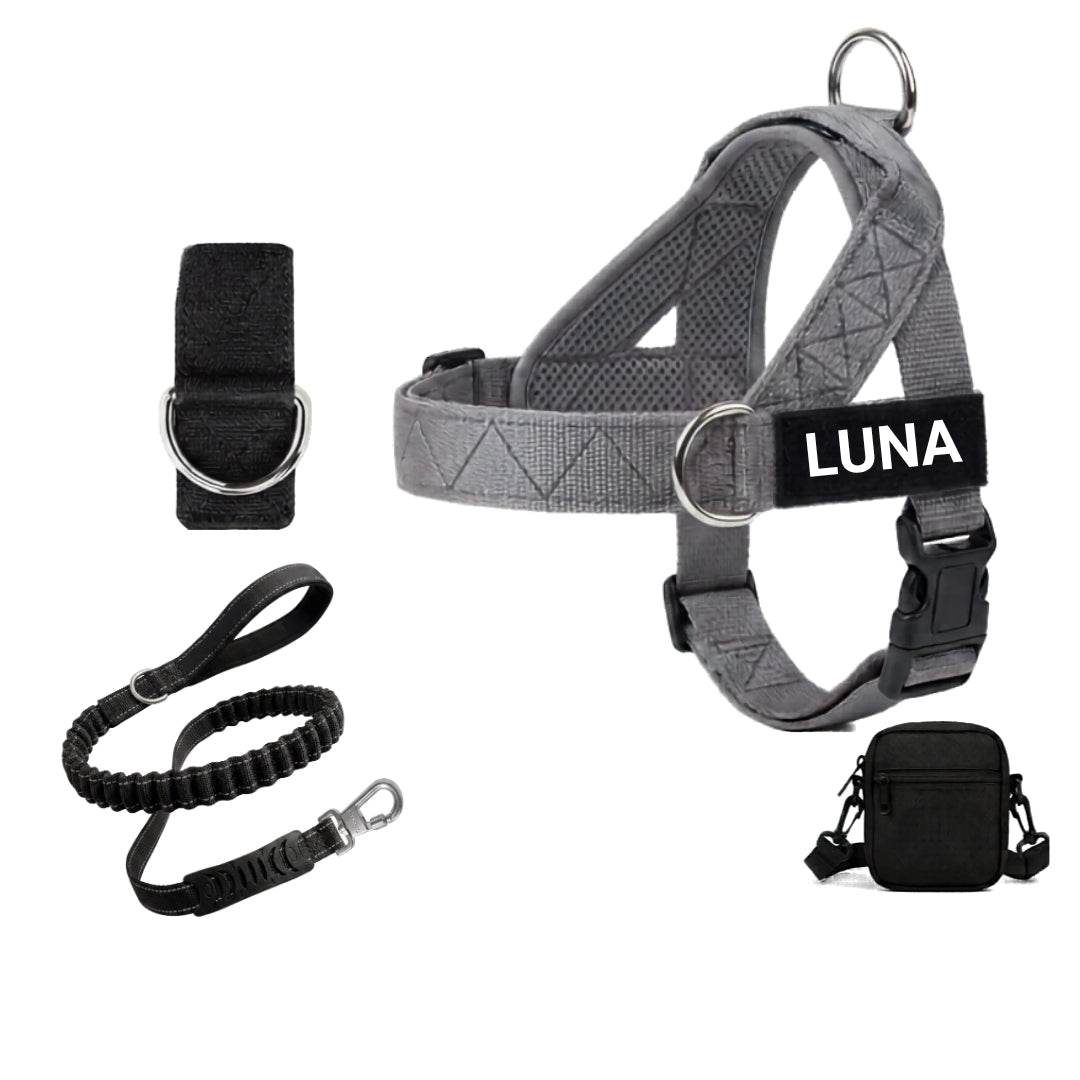 Dog Harness + FREE D-Ring