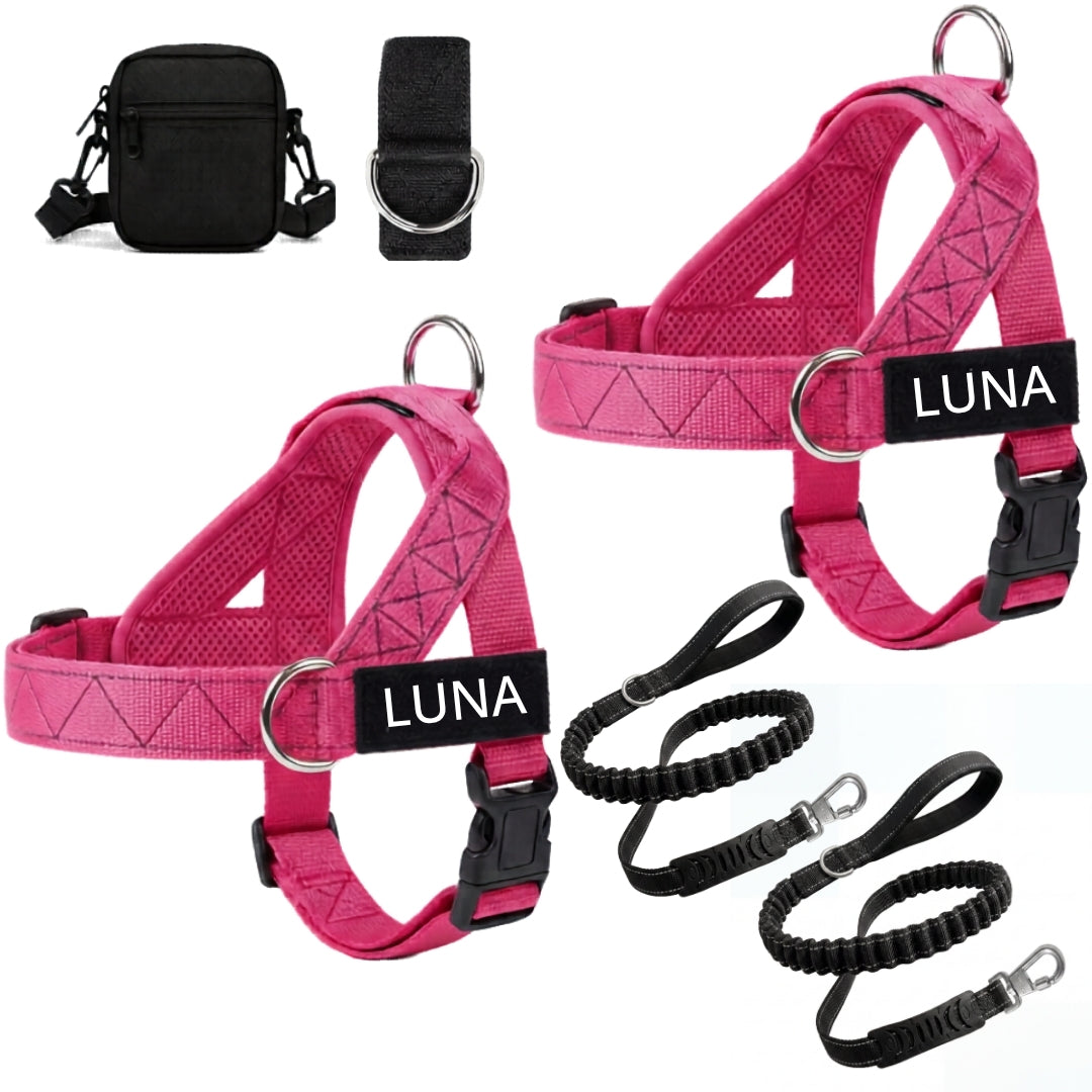 Dog Harness + FREE D-Ring
