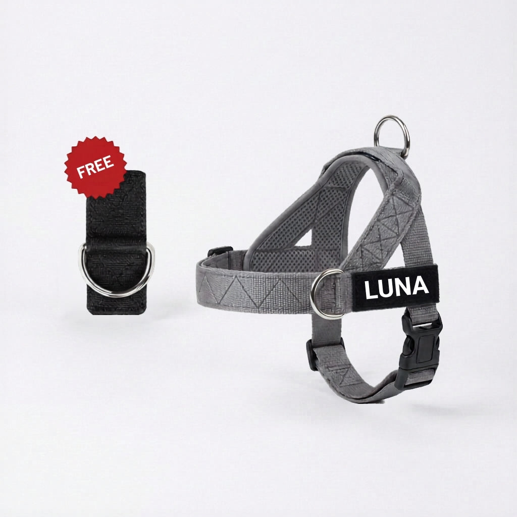 Dog Harness + FREE D-Ring